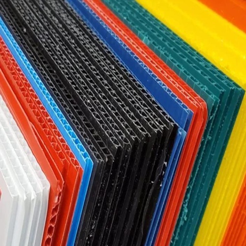 WhatsApp Image 2026-02-27 at 5.26.22 PM (1)